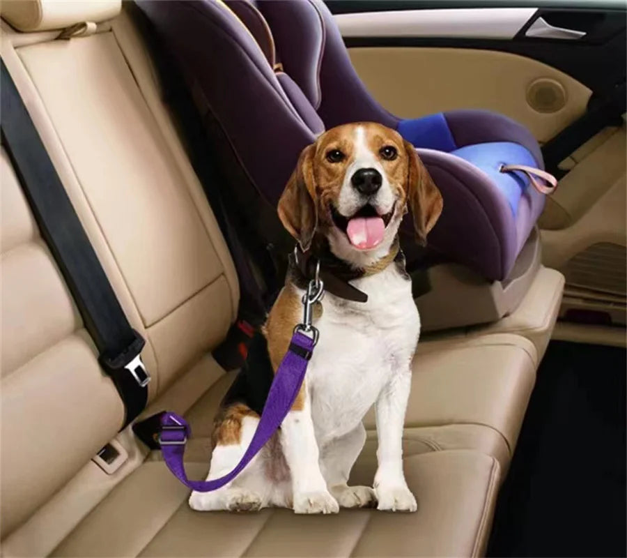 SafeRide™ Dog Seat Belt