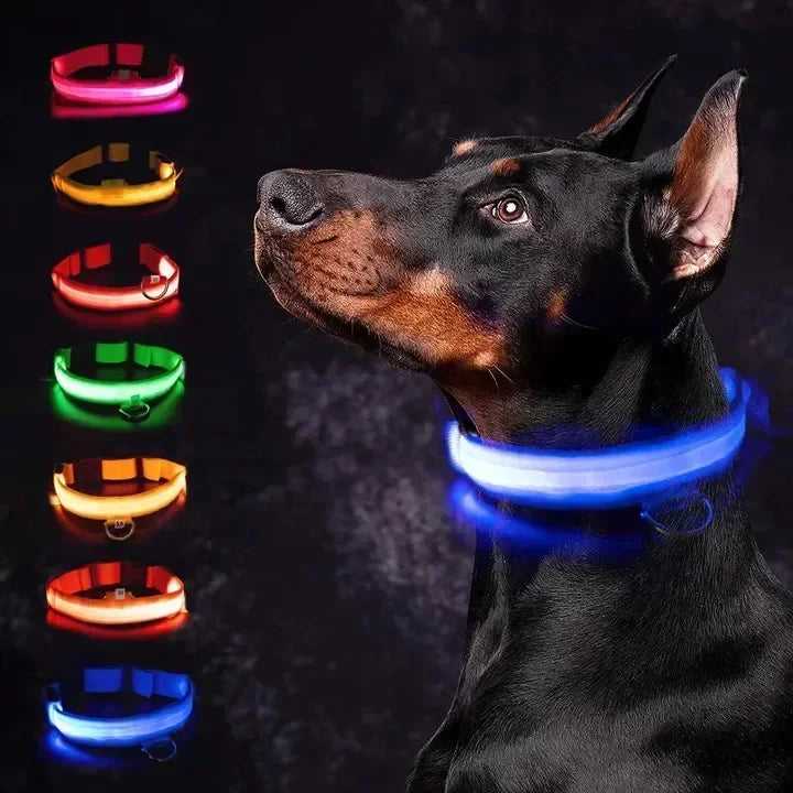 AdventurePup™ Nylon Dog Collar