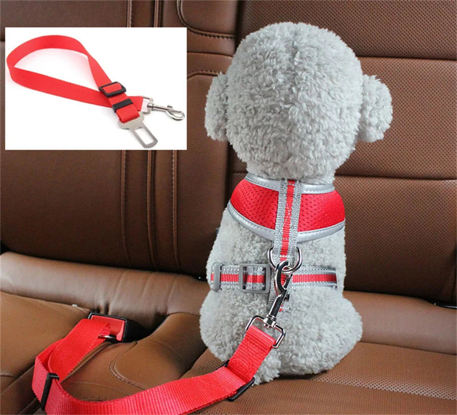 SafeRide™ Dog Seat Belt