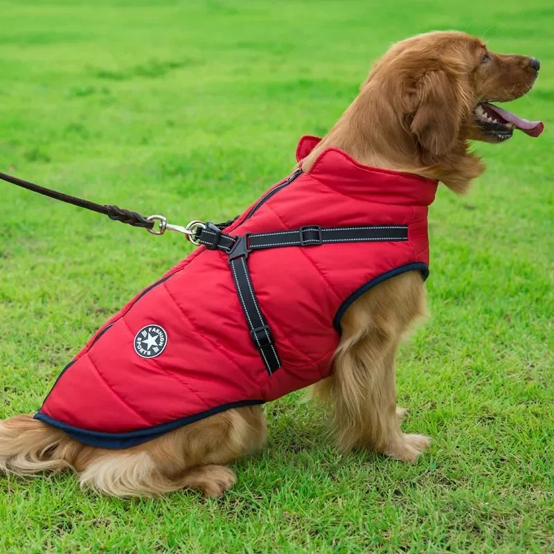 Dog Exploder The Dog Explorer – Paw Haven Lux
