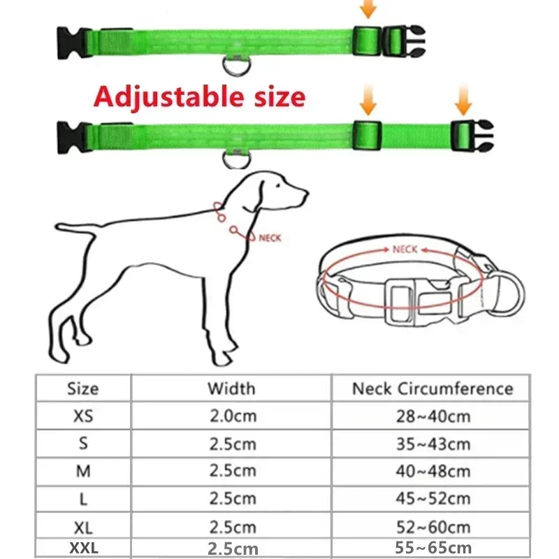 AdventurePup™ Nylon Dog Collar