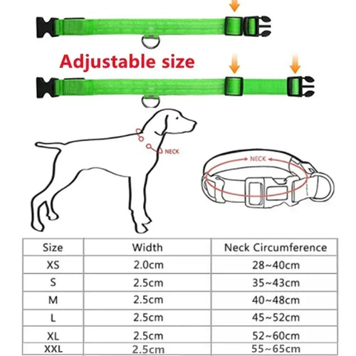 AdventurePup™ Nylon Dog Collar